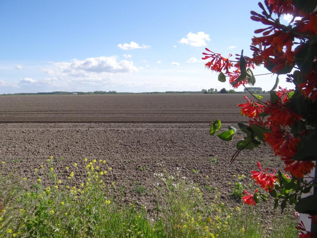 Vakantiewoning Akkerrand คัมเปอร์ลันด์ ภายนอก รูปภาพ